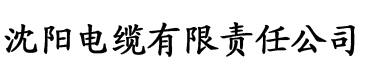 火龙果播放器电缆厂logo